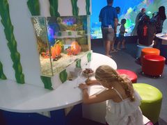 -凯莉-塔尔敦海洋生物水族馆