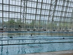 -深圳大学城（南区）体育中心-游泳馆