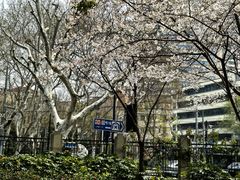 -徐家汇源景区-衡山公园