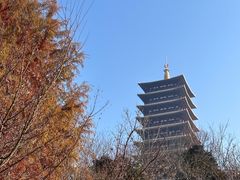 -牛首山文化旅游区