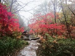 -本溪老边沟风景区
