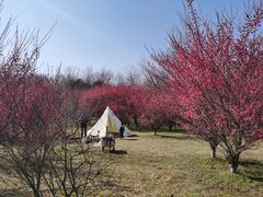 -南京市江宁方山
