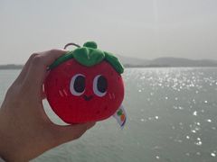 -蠡湖大桥公园