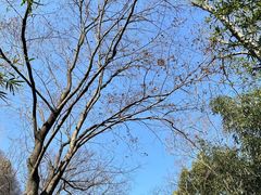 -狼山风景名胜区