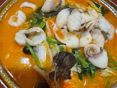 -喜家德虾仁水饺(北京超极合生汇店)