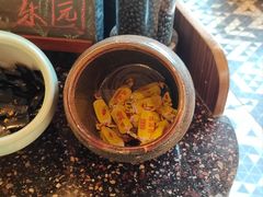 -野人部落(沈阳一店)