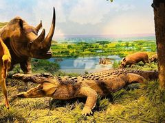 -国家自然博物馆