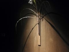 -木守西溪溪隐餐厅