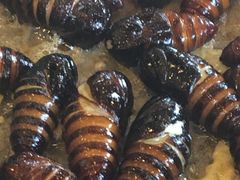 -千纸鹤嫩汁烤肉(学府店)