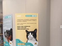 -瑞鹏宠物医院·骨科·猫科·内科(第一中心)