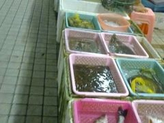 -南沙十九涌渔人码头-南门