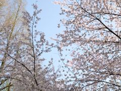 -苏州上方山国家森林公园