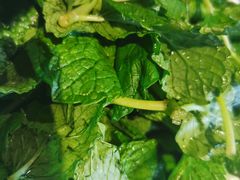 -热火朝天鲜切牛肉火锅(南强街巷店)