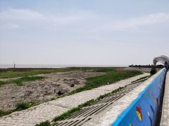 -南汇嘴观海公园
