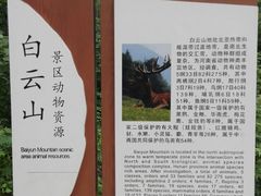 -洛阳白云山景区