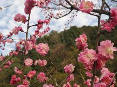 -贵阳市花溪国家城市湿地公园