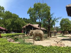 -上海野生动物园