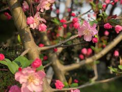 -杭州城北体育公园