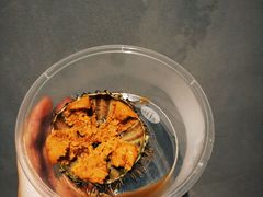 -海胆小馆(东北水饺·春柳店)