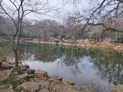 -灵谷景区