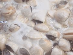 -拾下卜卜贝•海鲜火锅