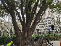 -徐家汇源景区-衡山公园