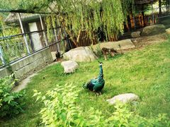 -上方山森林动物世界