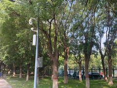 -河北省园博园