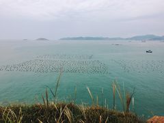 -枸杞岛