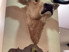 -摩根扒房(桐梓林店)