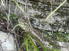 -重庆云阳龙缸景区