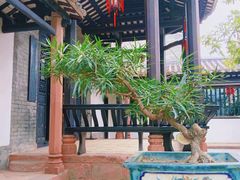 -东莞市可园博物馆