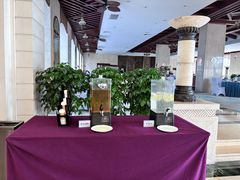 -罗浮山嘉宝田森林温泉度假酒店