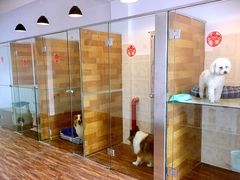 -奶牛家宠物酒店(嘉宏云顶店)