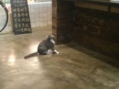 android_upload_pic-MIKAKU(万达广场上海宝山店)