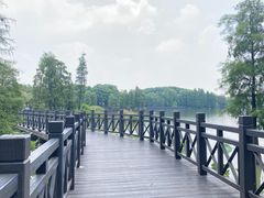 -海珠湖公园