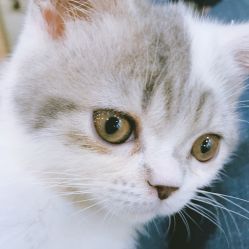 大厅-Hair house发舍