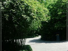 -杭州植物园