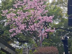 -乌山风景区