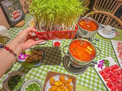 -番食园鲜食火锅(高新店)