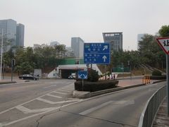 -银湖山郊野公园-相思林