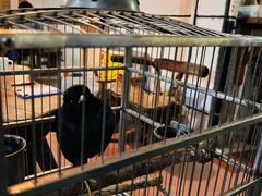 -茶米人台湾料理·精致快简餐