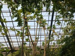 -呀路古热带植物园
