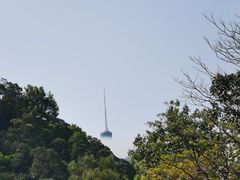 -梧桐山风景名胜区