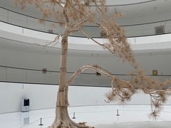 -上海宝龙美术馆