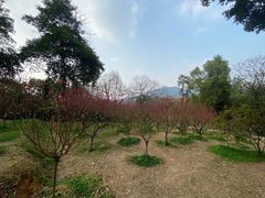 -桃花涧