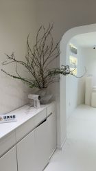 -安那般那皮肤年轻化ANAPANA