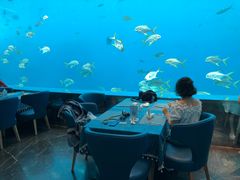 -瑞德姆美人鱼海底演艺主题餐厅(亚龙湾店)