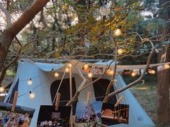 -南宁良凤江国家森林公园