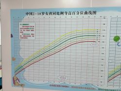 -北京市东城区妇幼保健院(南院区)